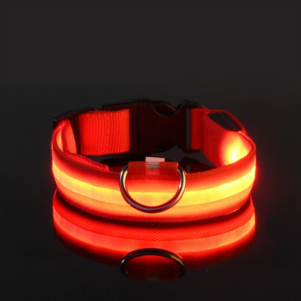 LED Light Dog Collar