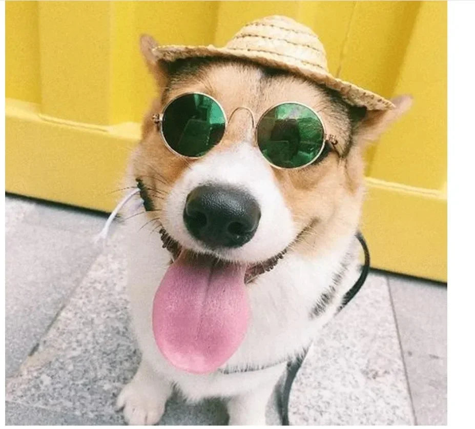Round Metal Pet Sunglasses