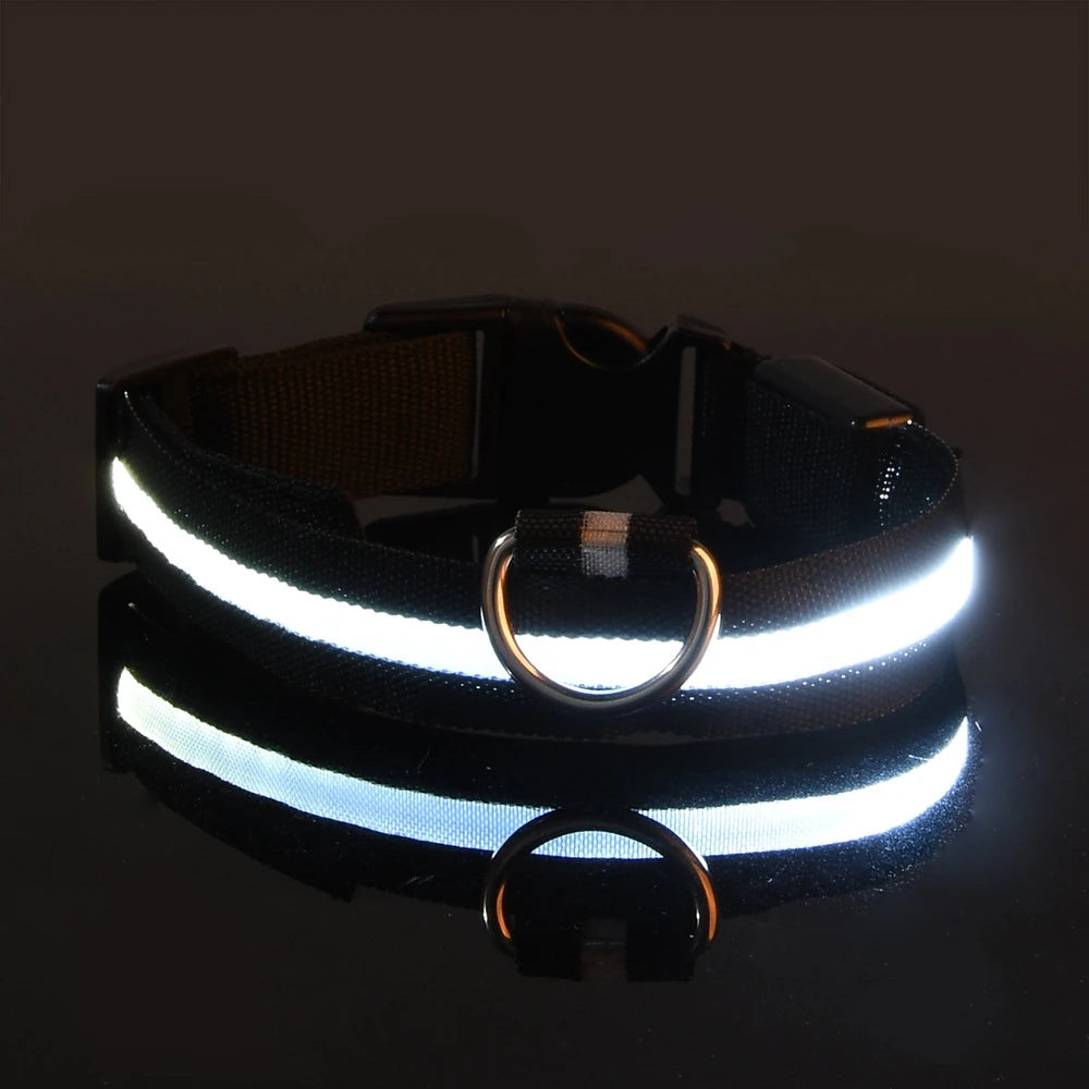 LED Light Dog Collar
