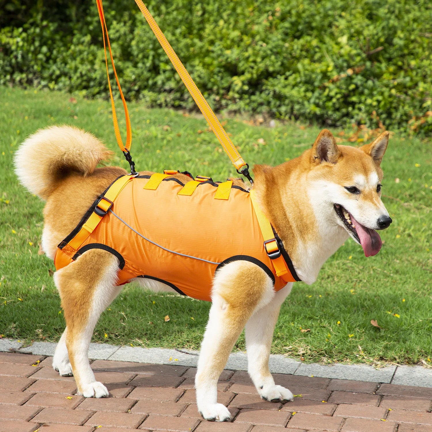 Dog Support Lift Harness