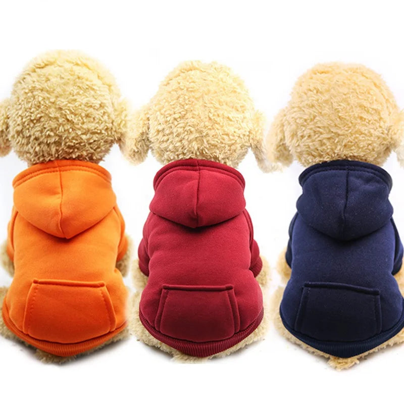 Cozy Dog Hoodie