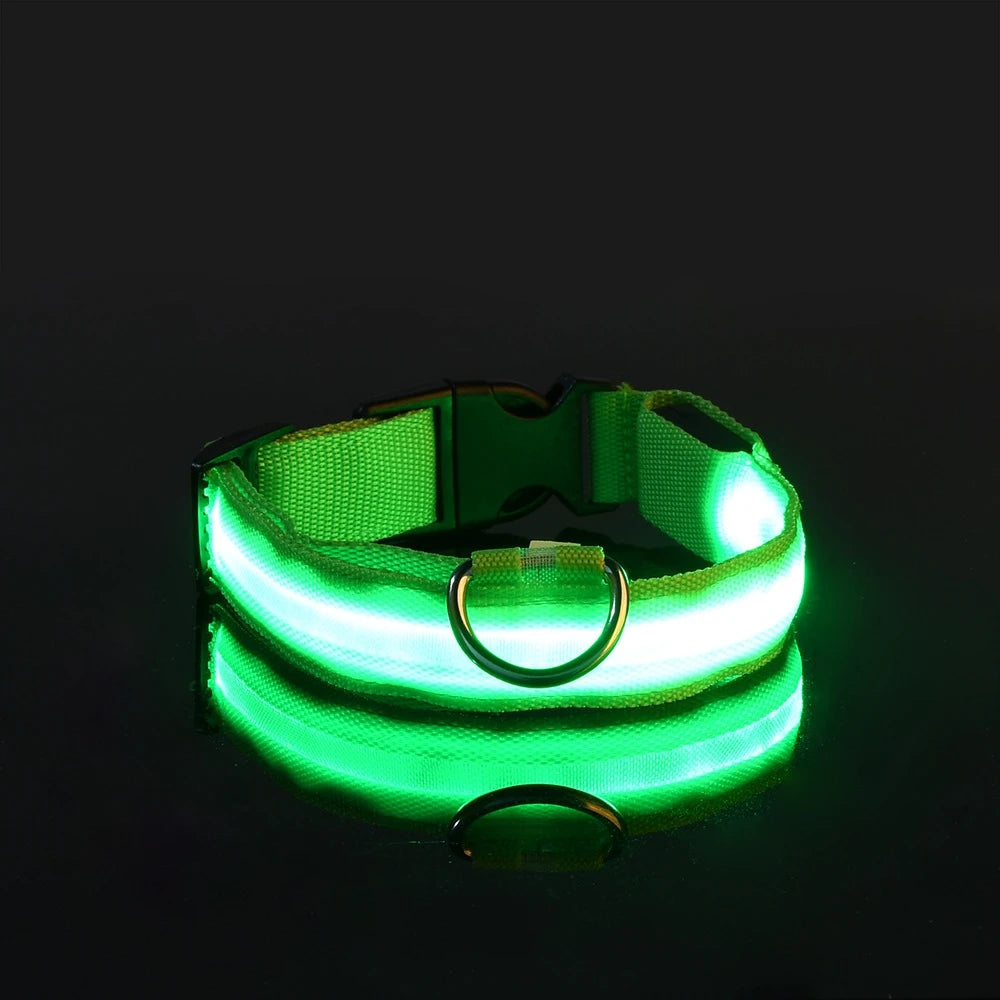 LED Light Dog Collar
