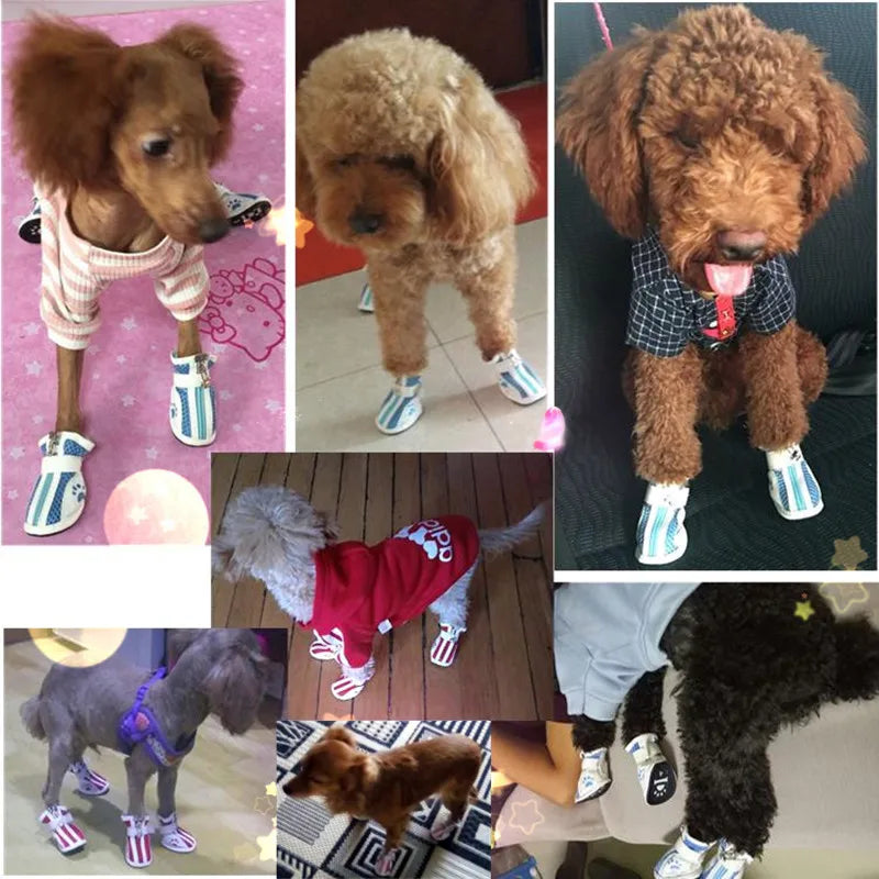 Breathable Mesh Dog Shoes
