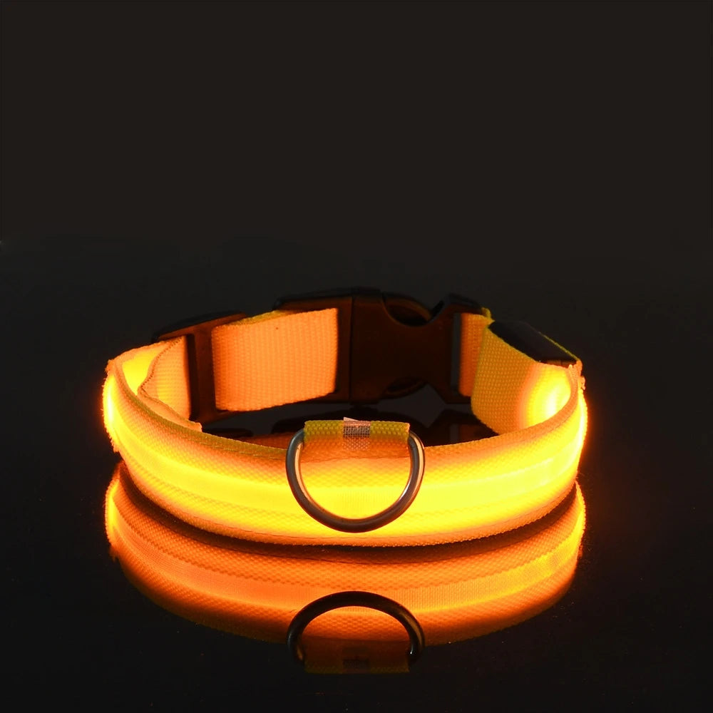 LED Light Dog Collar