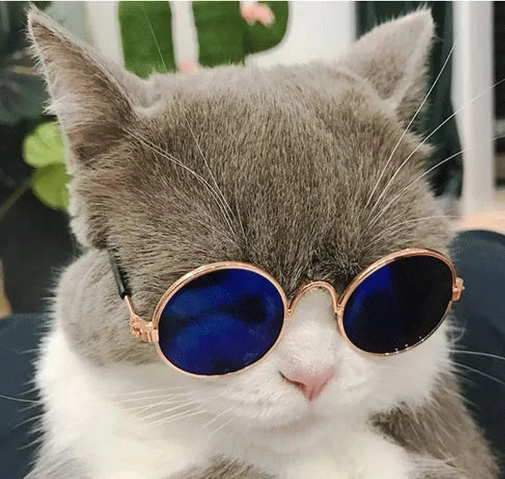 Round Metal Pet Sunglasses