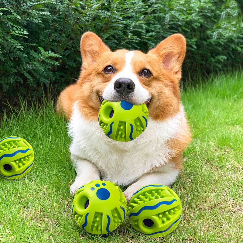 Interactive Chew Ball Toy