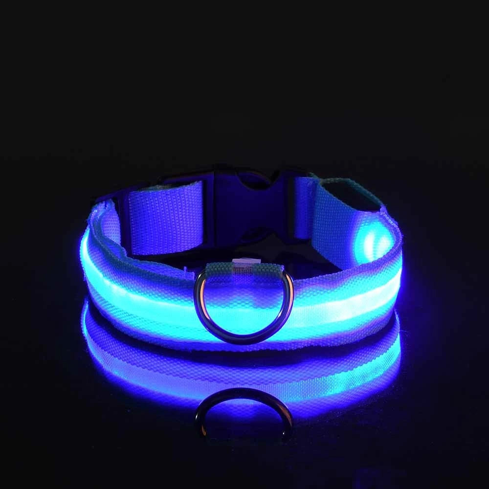 LED Light Dog Collar