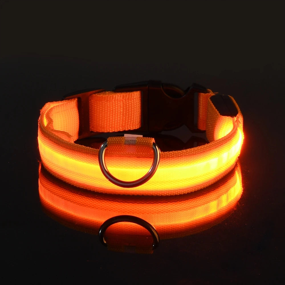 LED Light Dog Collar