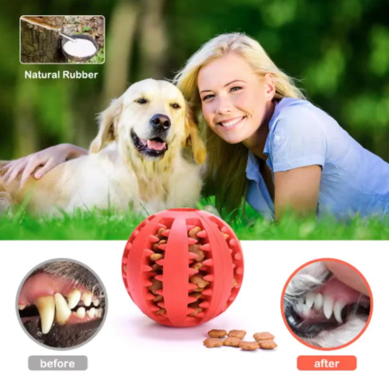 Dog Dental Treat Ball