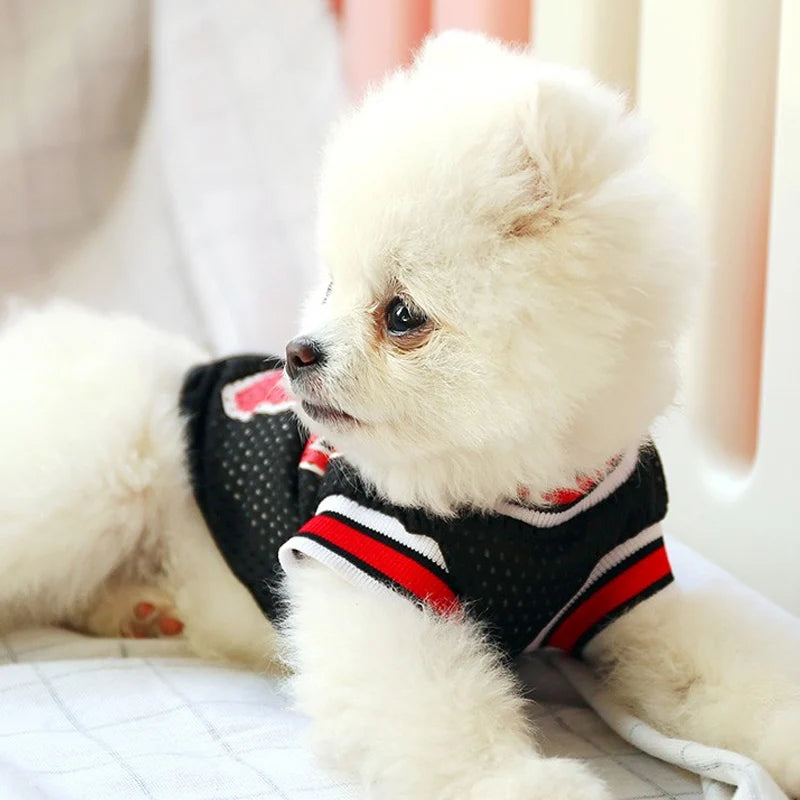 Dog Basketball Jersey