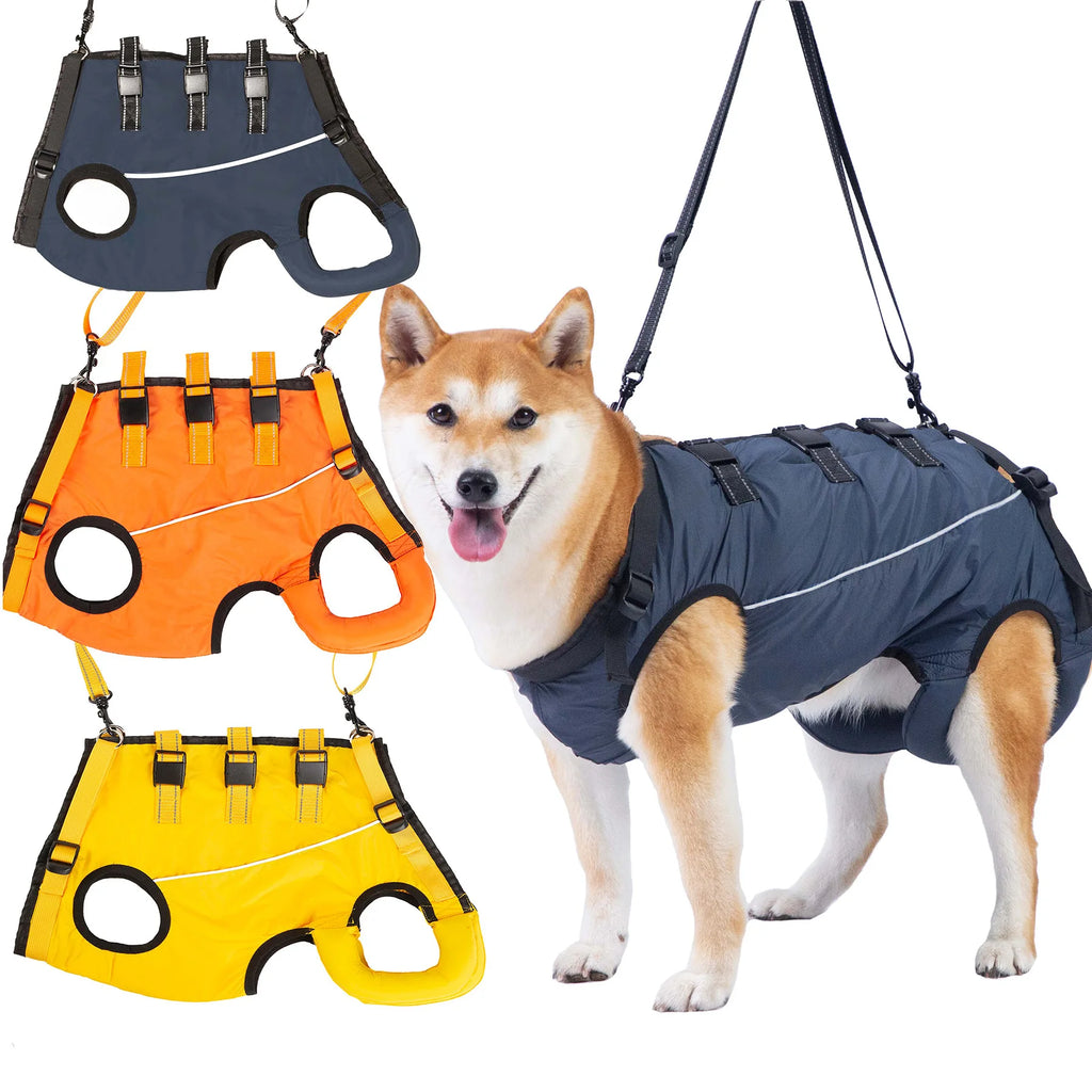Dog Support Lift Harness