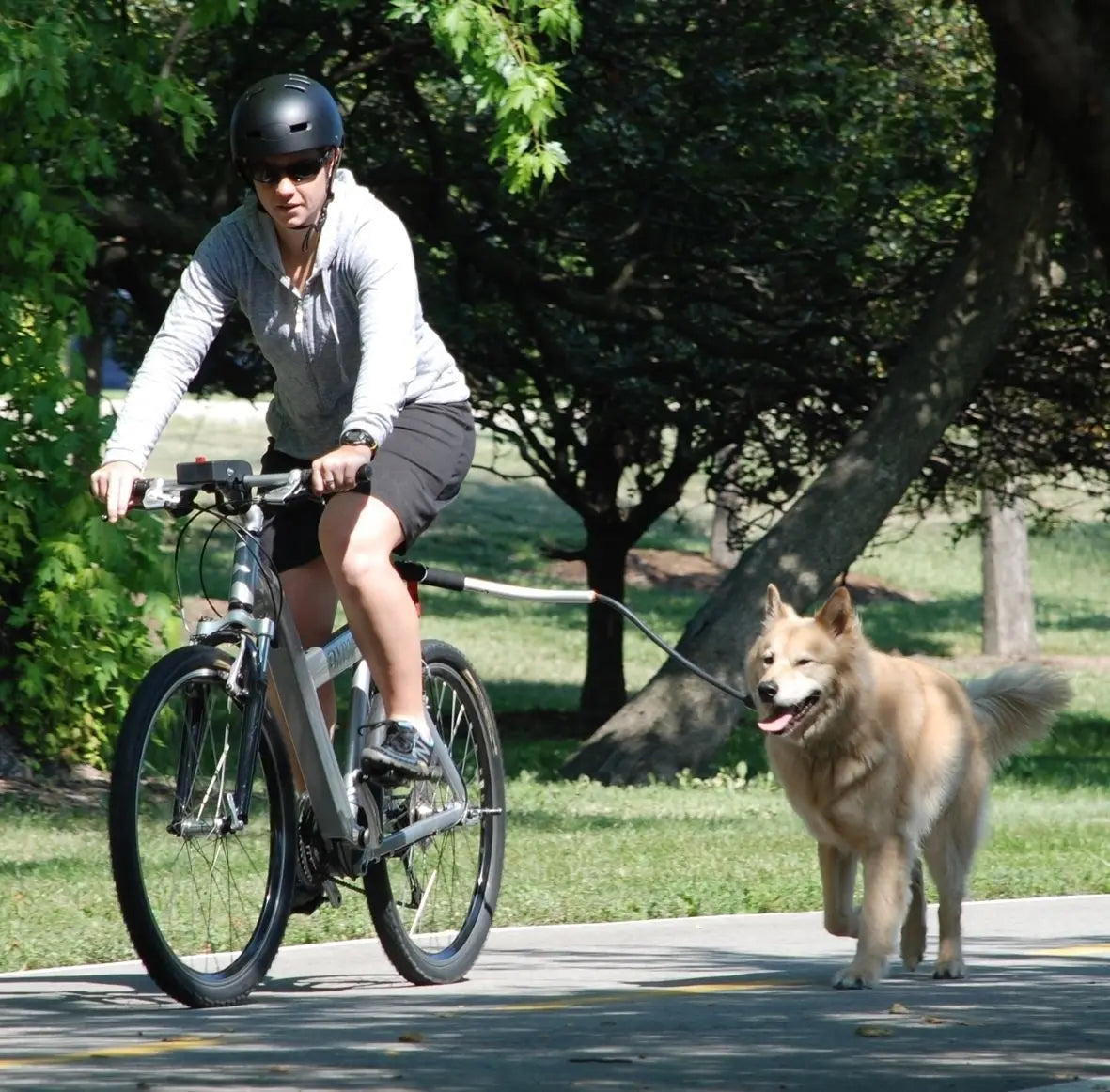 Dog Bike Leash Rod