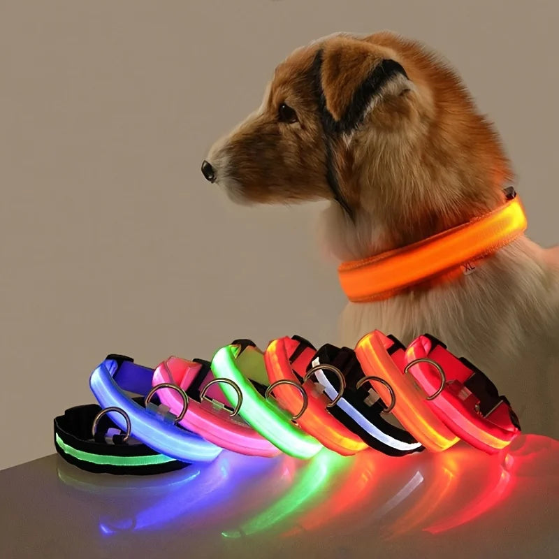 LED Light Dog Collar