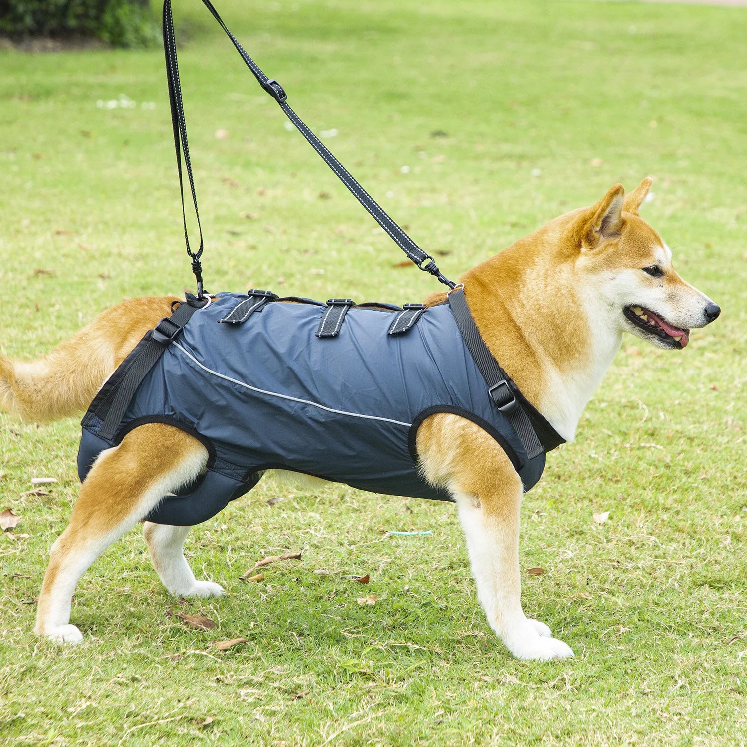 Dog Support Lift Harness