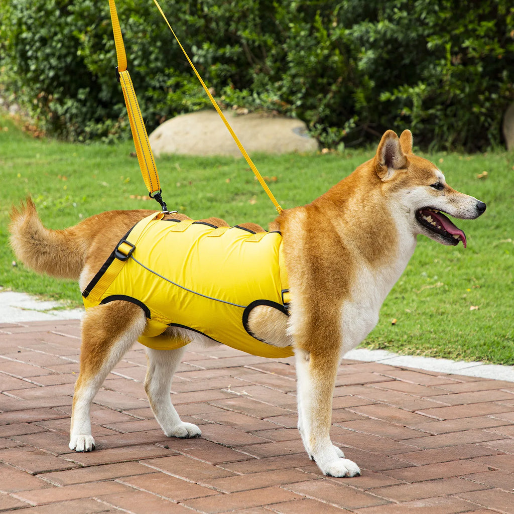 Dog Support Lift Harness