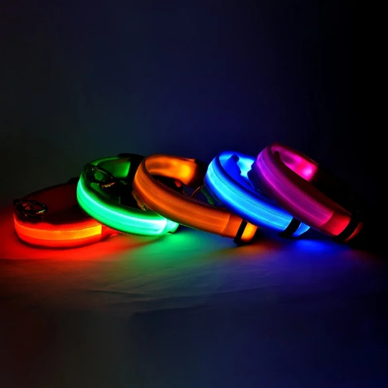 LED Light Dog Collar