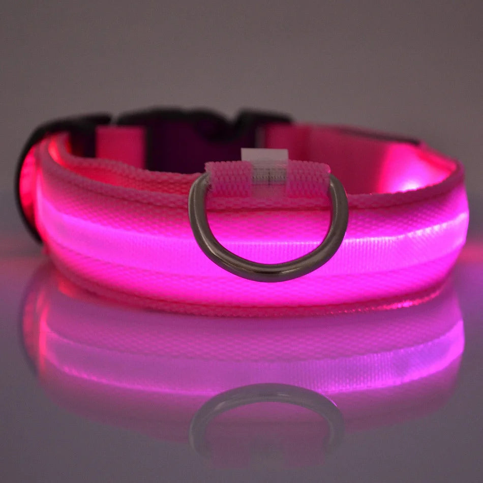 LED Light Dog Collar