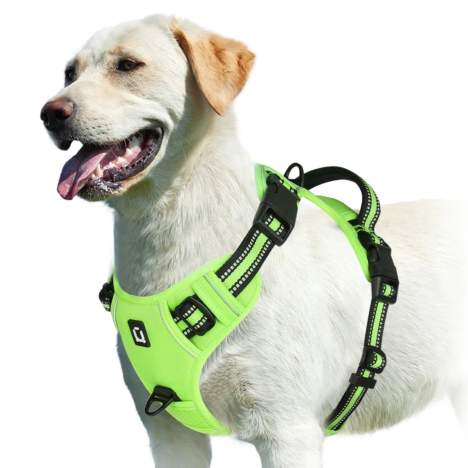 No-Pull Dog Harness