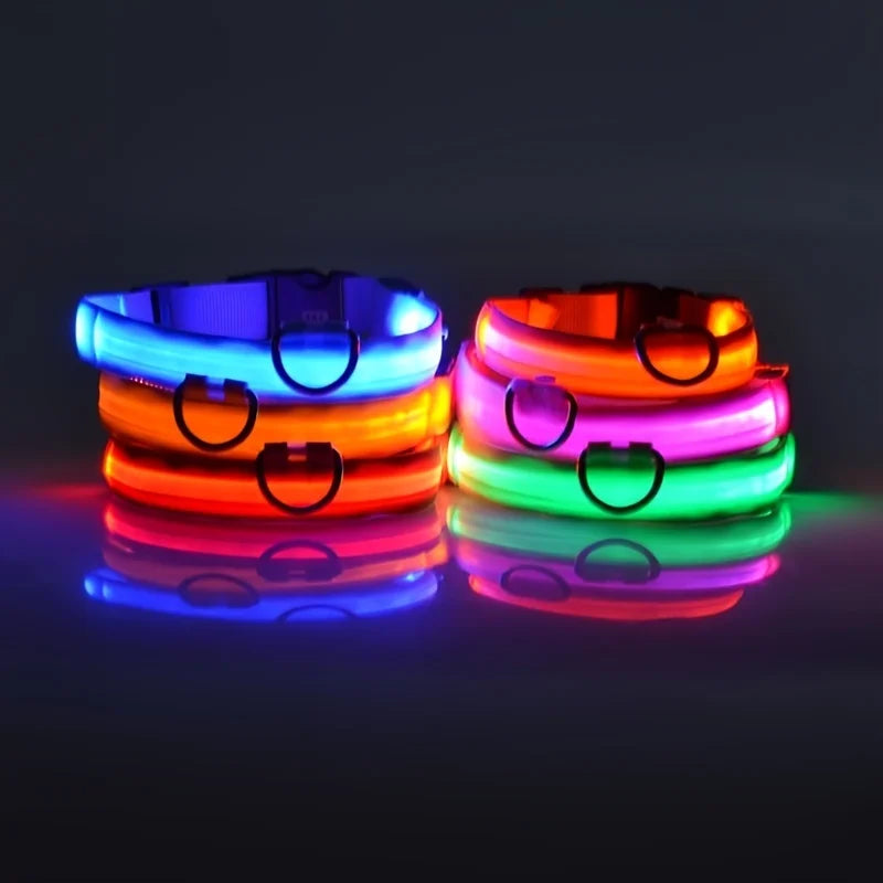 LED Light Dog Collar