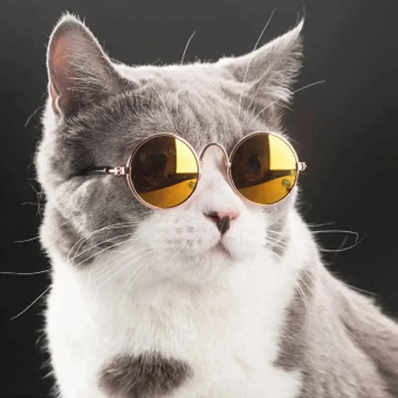 Round Metal Pet Sunglasses
