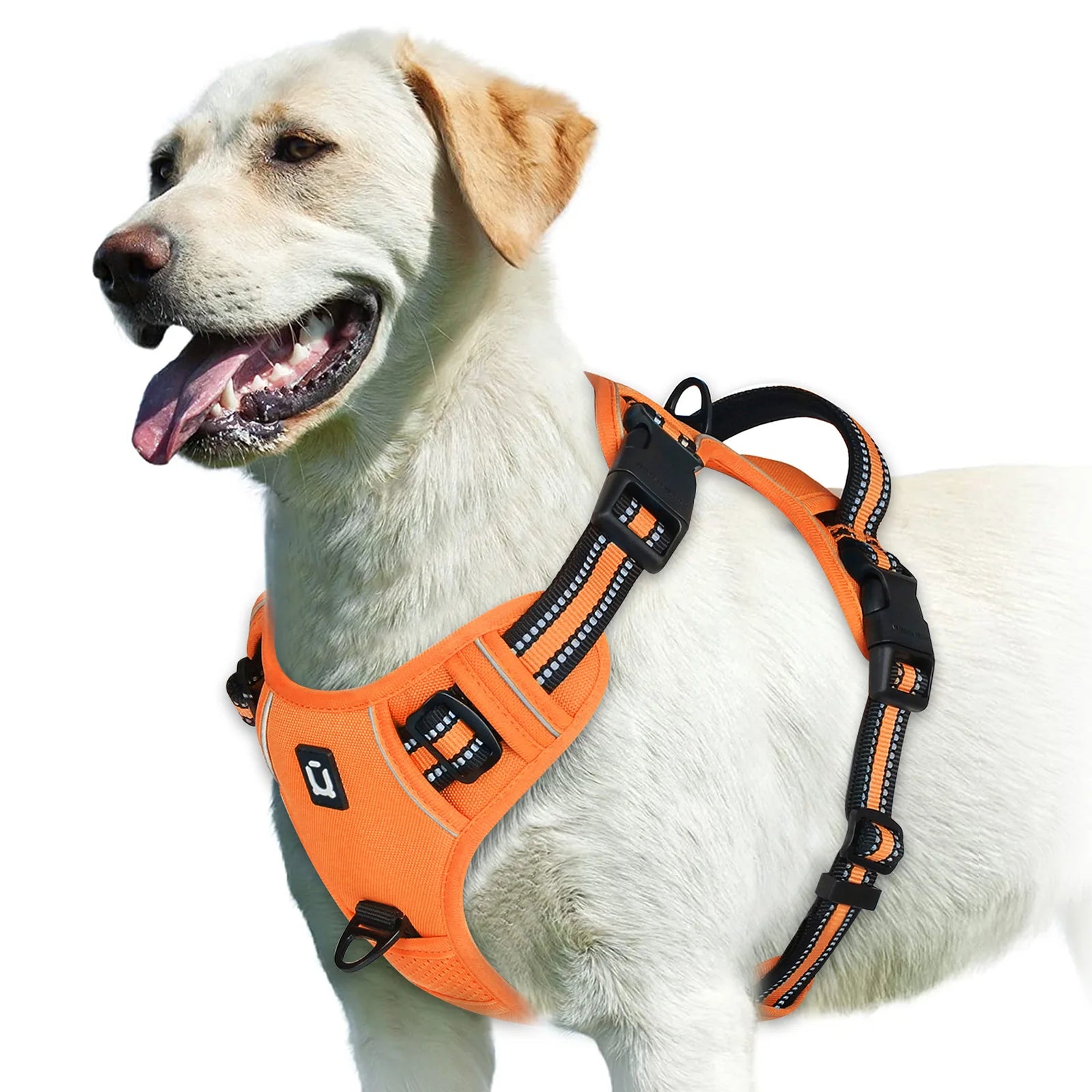 No-Pull Dog Harness