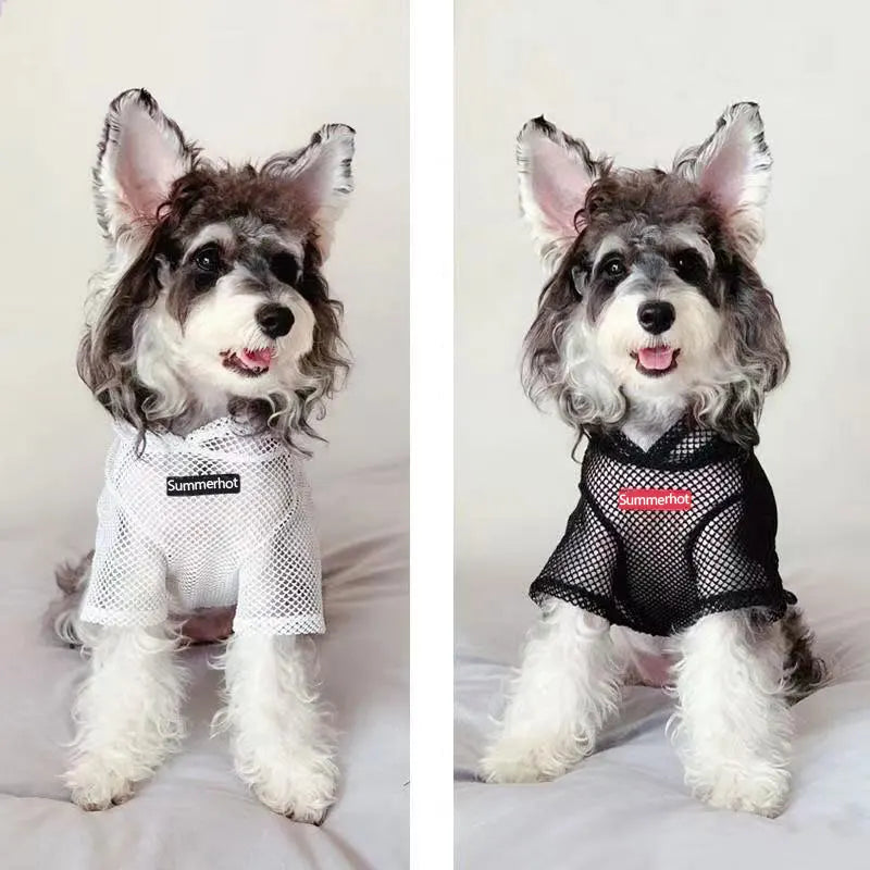 Summer Mesh Pet Hoodie – Breathable Lightweight Dog & Cat Outfit
