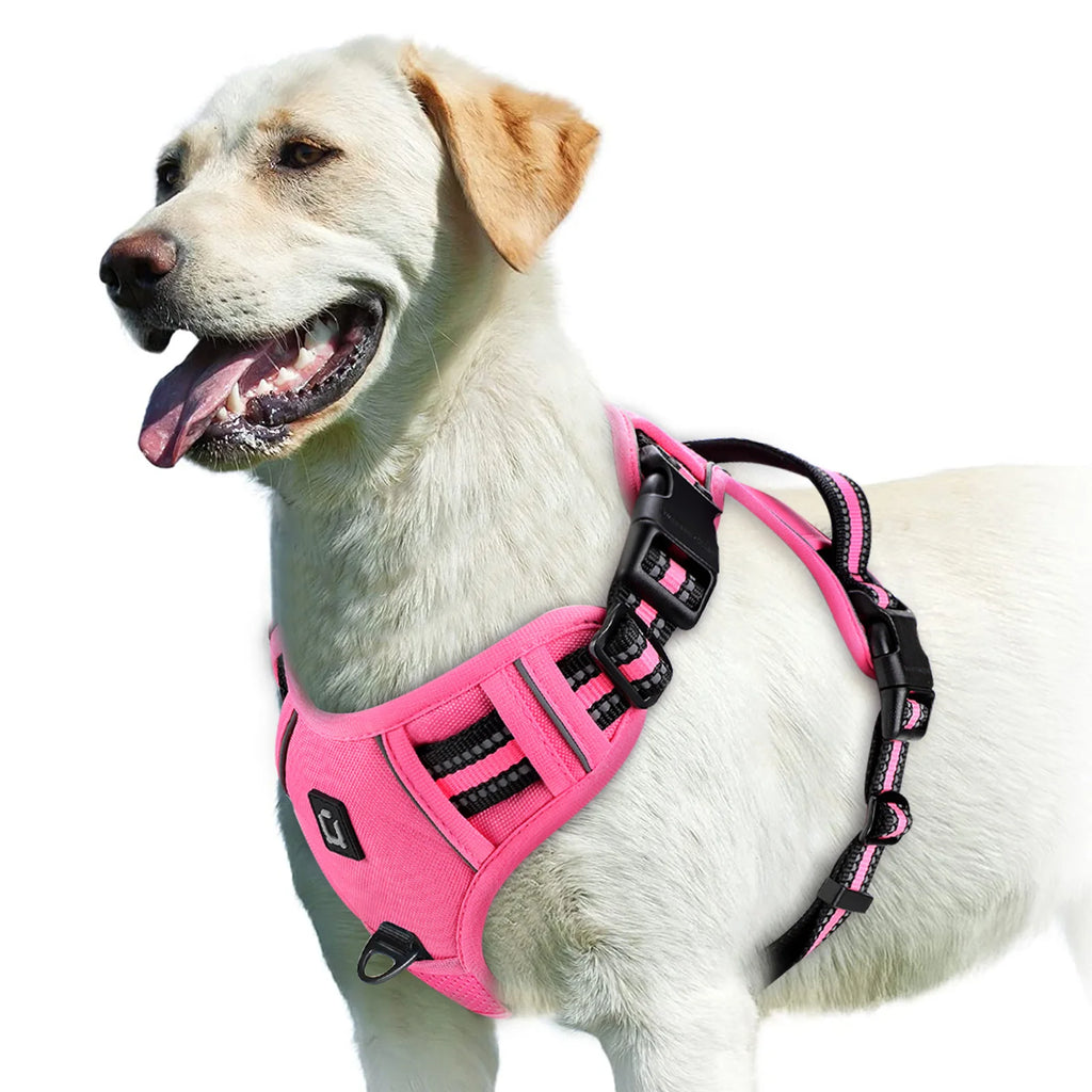 No-Pull Dog Harness