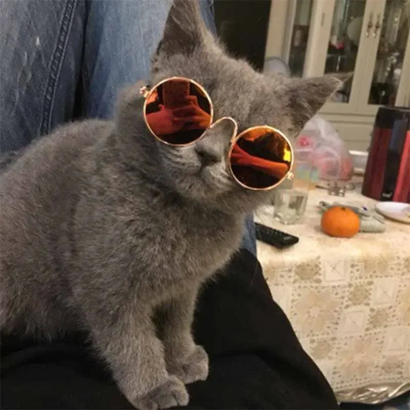 Round Metal Pet Sunglasses