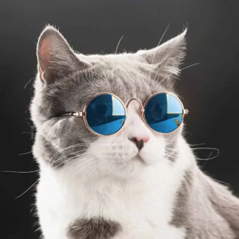 Round Metal Pet Sunglasses