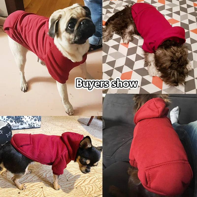 Cozy Dog Hoodie
