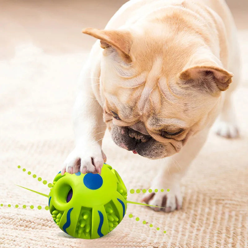 Interactive Chew Ball Toy