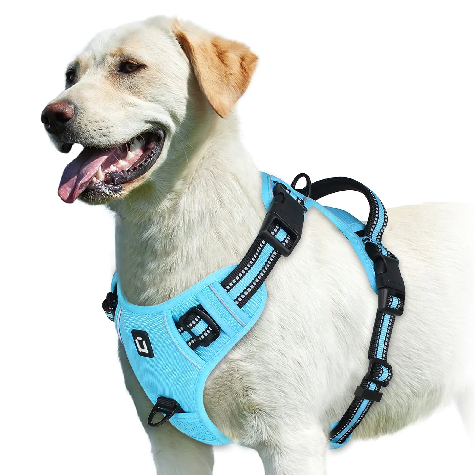 No-Pull Dog Harness